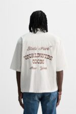 پیراهن مردانه زارا STRIPED EMBROIDERED SHIRT